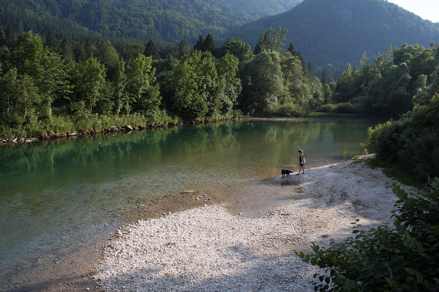 5807_Langs de Sava Bohinjka.JPG